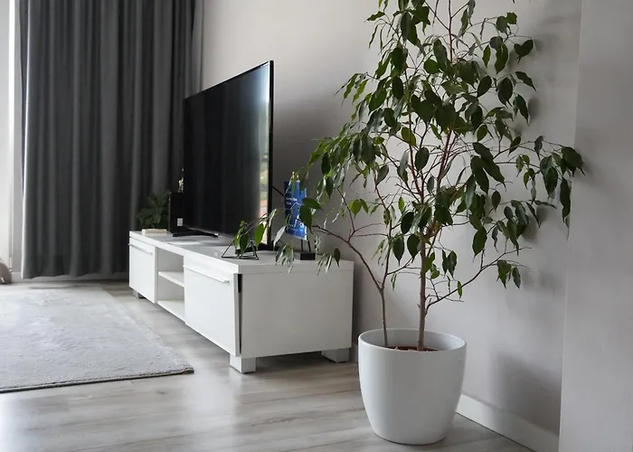 Panorama Comfort - Free Parking Apartment *